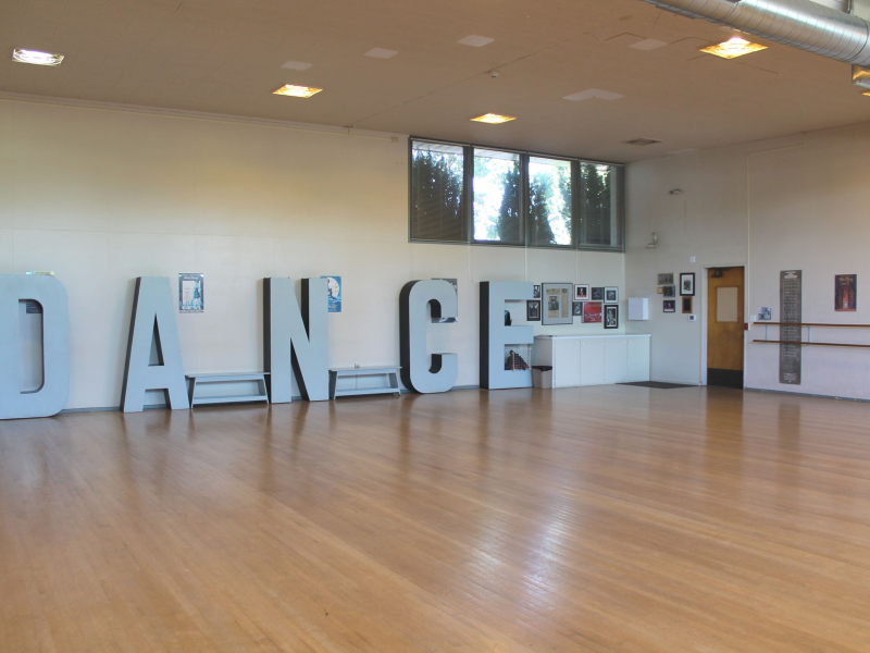 Example Listing of a Dance Studio: Rhythm & Grace Dance Studio